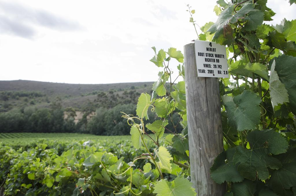 Bushmanspad Estate Boesmanspad Zewnętrze zdjęcie
